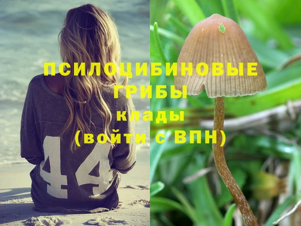 PSILOCYBIN Бугульма